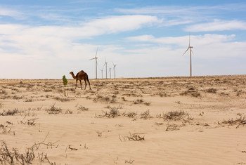 A windmill park on the outskirts of Nouakchott, the capital of Mauritania is aimed at giving more people access to renewable energy sources. 