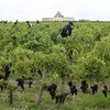 France. Des réfugiés aident à maintenir les vignobles en activité pendant la Covid-19