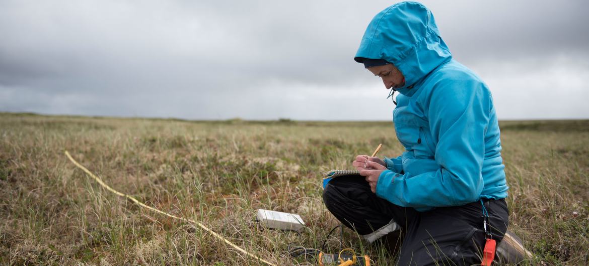 Dr. Susan Natali, scientifique au Woodwell Climate Research Centre, étudie le pergélisol en Alaska.