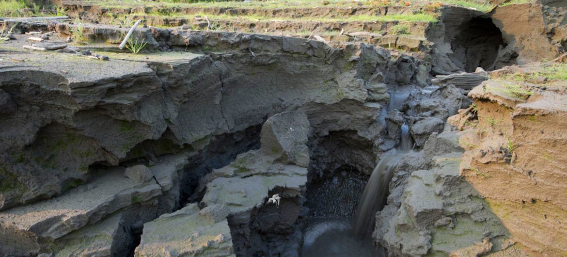 Permafrost melting in Siberia near Cherskii, Russia.