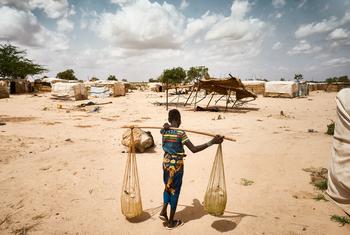 尼日尔蒂拉贝里地区，一名年轻女子在流离失所者营地挑水。