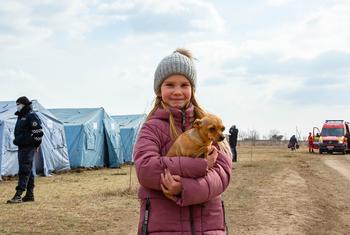 Девочка из числа беженцев из Украины со своей собакой во временном центре для беженцев возле контрольно-пропускного пункта Паланка на границе Молдовы и Украины, 26 февраля 2022 года.