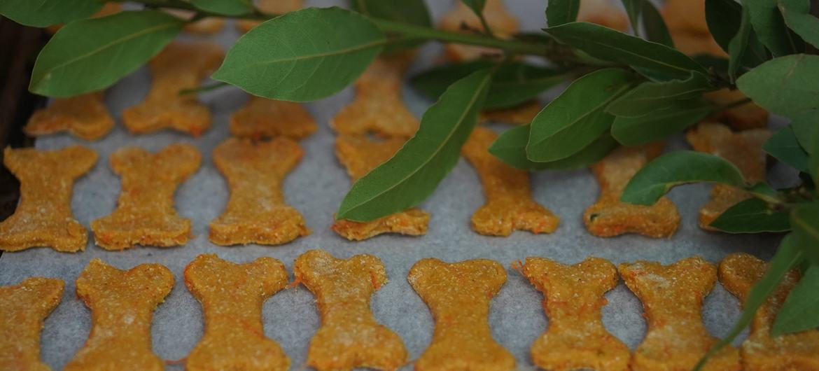 Avec les restes de poisson blanc, Daria Demidenko produit des biscuits pour chiens enrichis à la patate douce.