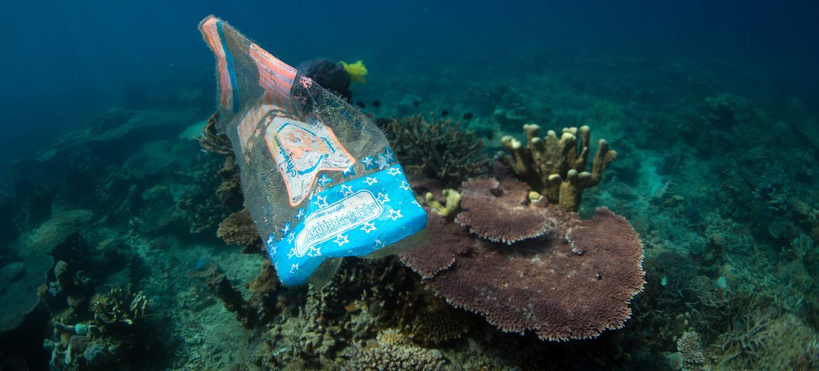 Пластик на дне – большая проблема океана.