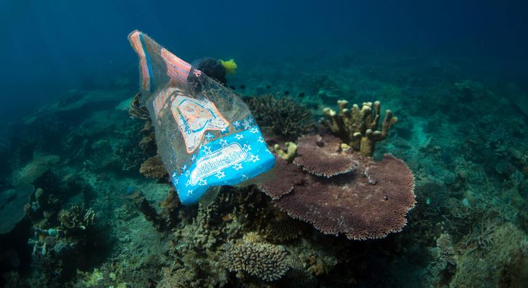 Detritos plásticos marinhos impactaram mais de 600 espécies marinhas