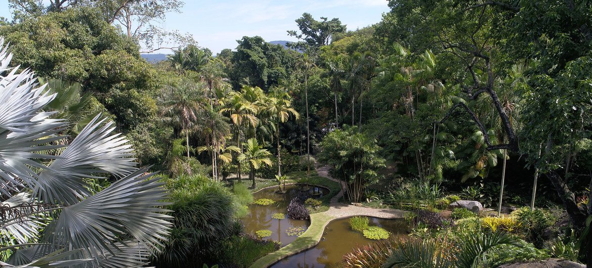 The Roberto Burle Marx site in Rio de Janeiro, Brazil, developed over more than 40 years by landscape architect and artist Roberto Burle Marx, embodies a successful project.  It was listed as a UNESCO World Heritage Site in 2021.