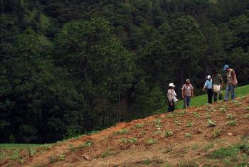 Farmers at work in Guatemala.