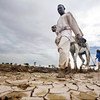 Clima continuará muito seco em vários países africanos 