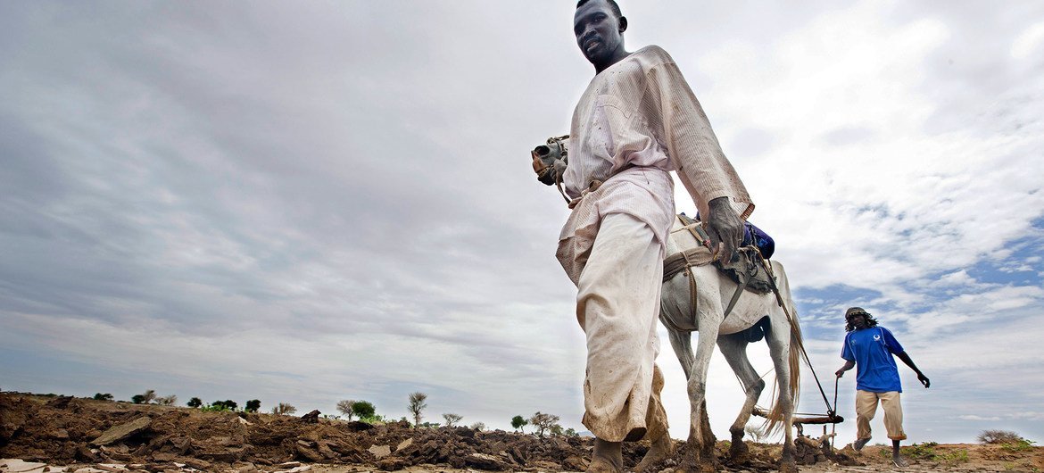 Extreme weather like widespread drought is causing economic losses amongst farmers in Africa.