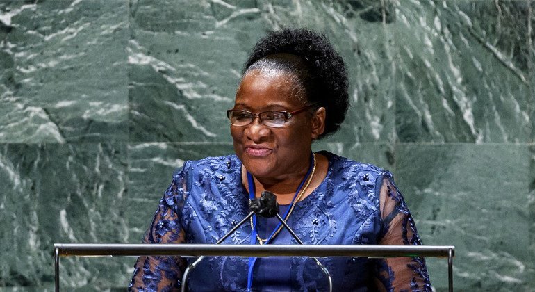 Ministra dos Negócios Estrangeiros e Cooperação afirmou que Moçambique tomou várias medidas para combater a pandemia