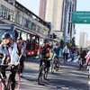 Жители многих городов пересаживаются на велосипеды.