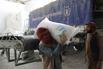 تواصل المنظمات الإنسانية، بما فيها برنامج الأغذية العالمي، تقديم المساعدات إلى أفغانستان.