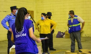 Une équipe de l'OIM participant aux opérations d'aide humanitaire lors des ouragans Eta et Iota en Amérique centrale.