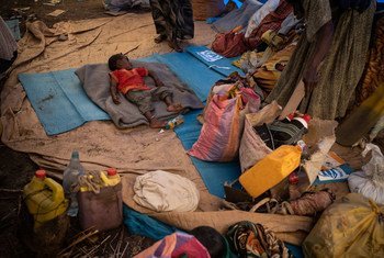 A young Ethiopian refugee sleeps on a mattress at a transit site in Hamdayet, Sudan.