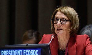 ECOSOC President Mona Juul briefs members of the Economic and Social Council.