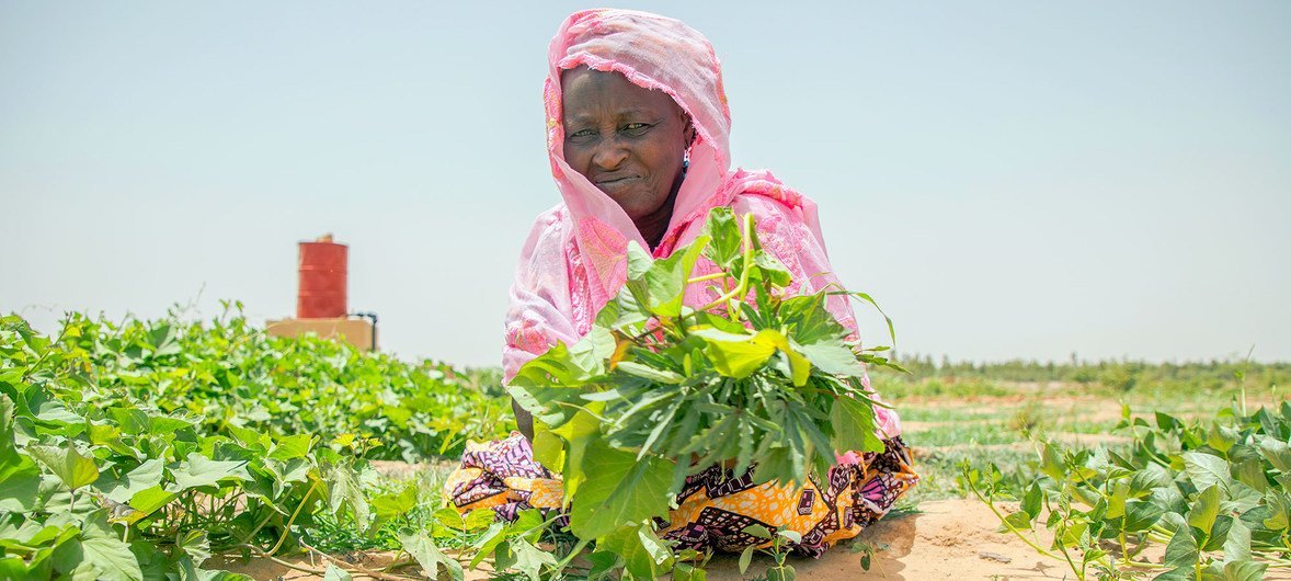 Mwanamke nchini Mali anatunza shamba ya jamii ambayo ni sehemu ya mradi wa kujenga uwezo wa Chakula Duniani.