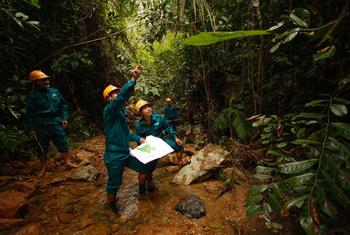社区成员在帮助维护越南的森林。