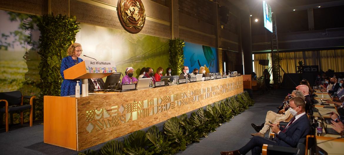 Inger Andersen, Executive Director of the UN Environment Programme, addresses participants at the fifth session of the United Nations Environment Assembly.