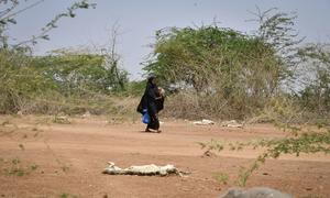 A mother and her child pass by carcasses of goats and sheep in Luuq, Somalia on 21 March 2022.