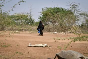 Une mère et son enfant passent devant des carcasses de chèvres et de moutons à Luuq, en Somalie, le 21 mars 2022.