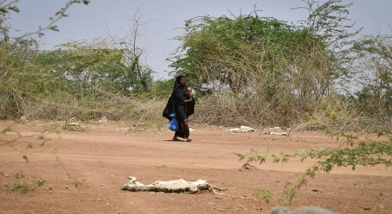 أم وطفلها يمرون بالقرب من جيف الماعز والأغنام في لوق بالصومال في 21 آذار/مارس 2022.