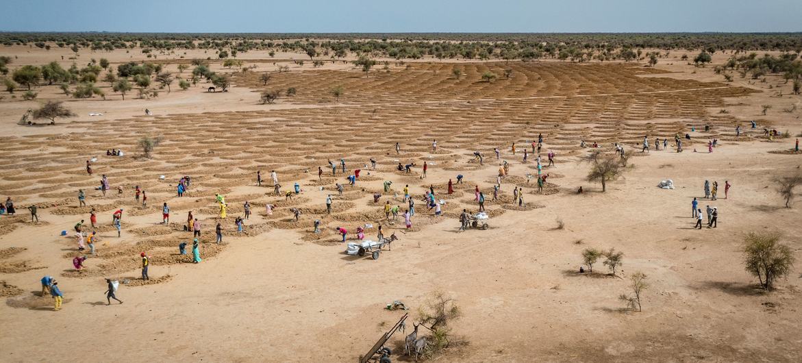 El cambio climático es el mayor desafío a los derechos humanos. Las comunidades agrícolas de Senegal restauran tierras degradadas para contrarrestar los efectos del cambio climático.