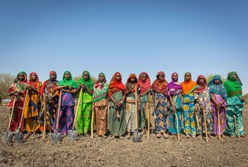 Food assistance programmes in Chad promote sustainable agriculture and strengthen incomes and livelihoods.