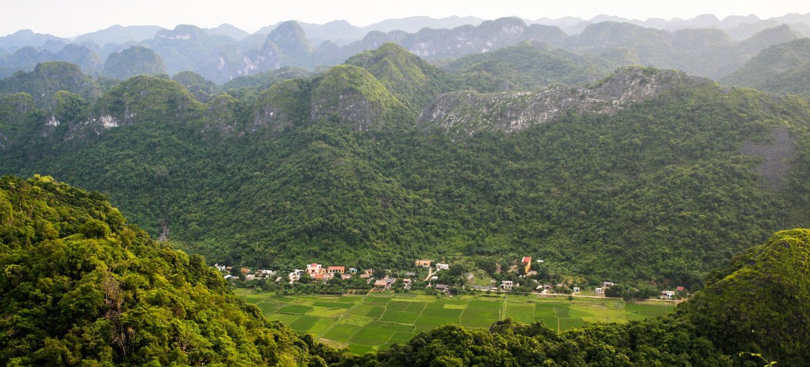 Restaurer les habitats naturels peut aider à répondre aux crises climatique et de biodiversité.