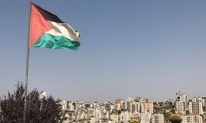 巴勒斯坦的旗帜飘扬在约旦河西岸城市拉马拉上空。
