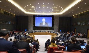 Nickolay Mladenov, UN Special Coordinator for the Middle East Peace Process, addresses the Security Council via video-link.