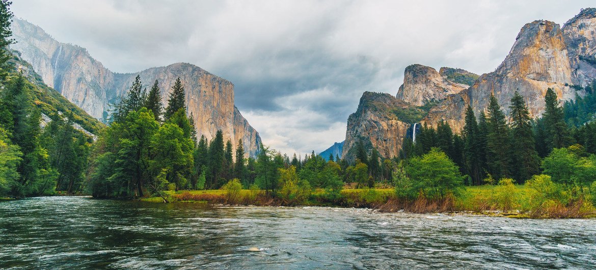 Йосемитский национальный парк в США – один десяти лесов, входящих в Список ЮНЕСКО и загрязняющих атмосферу.  