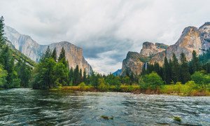 Yosemite National Park in the USA is one of ten World Heritage Forests that has gone from removing carbon from the atmosphere to emitting it.