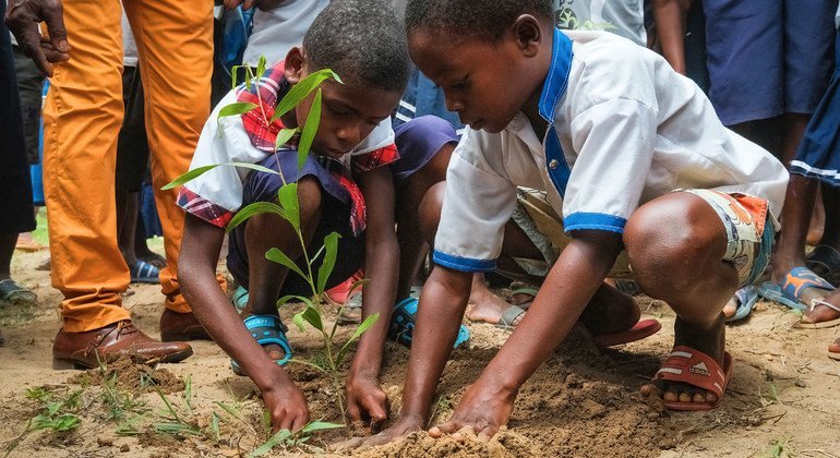 One million trees have been planted in a restoration effort in the Democratic Republic of the Congo.