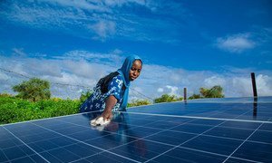 毛里塔尼亚南部的一个妇女合作社正在利用太阳能来操作市场花园的供水系统。