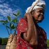 Comunidades agrícolas no Timor-Leste tentam recuperar prejuízos após ciclones 