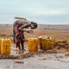 在遭受干旱的马达加斯加南部，一名妇女正在路上收集雨水。