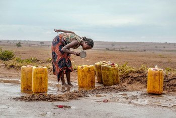 امرأة تجمع مياه الأمطار على طريق في جنوب مدغشقر المنكوبة بالجفاف