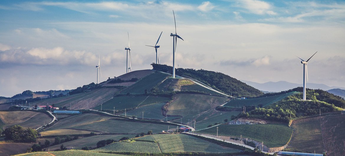 Wind farms generate electricity and reduce reliance on coal-powered energy.