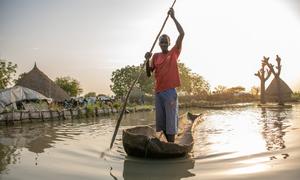 An ex-farmer displaced by flooding, paddles his canoe from his home in Old Fangak, South Sudan.