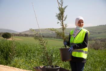 فتاة تقوم بزراعة الأشجار. لبنان.