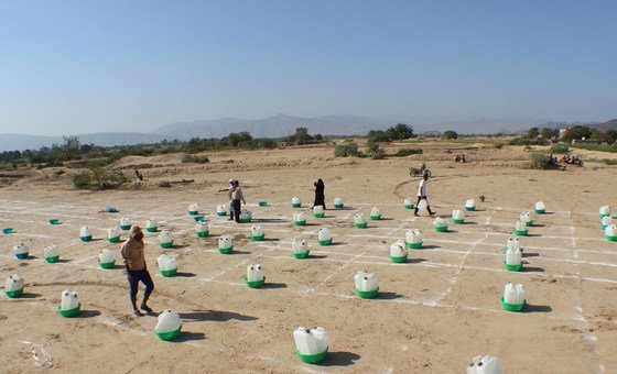 In Abyan, Yemen, families displaced by insecurity collect basic hygiene kits while practicing social distancing. 