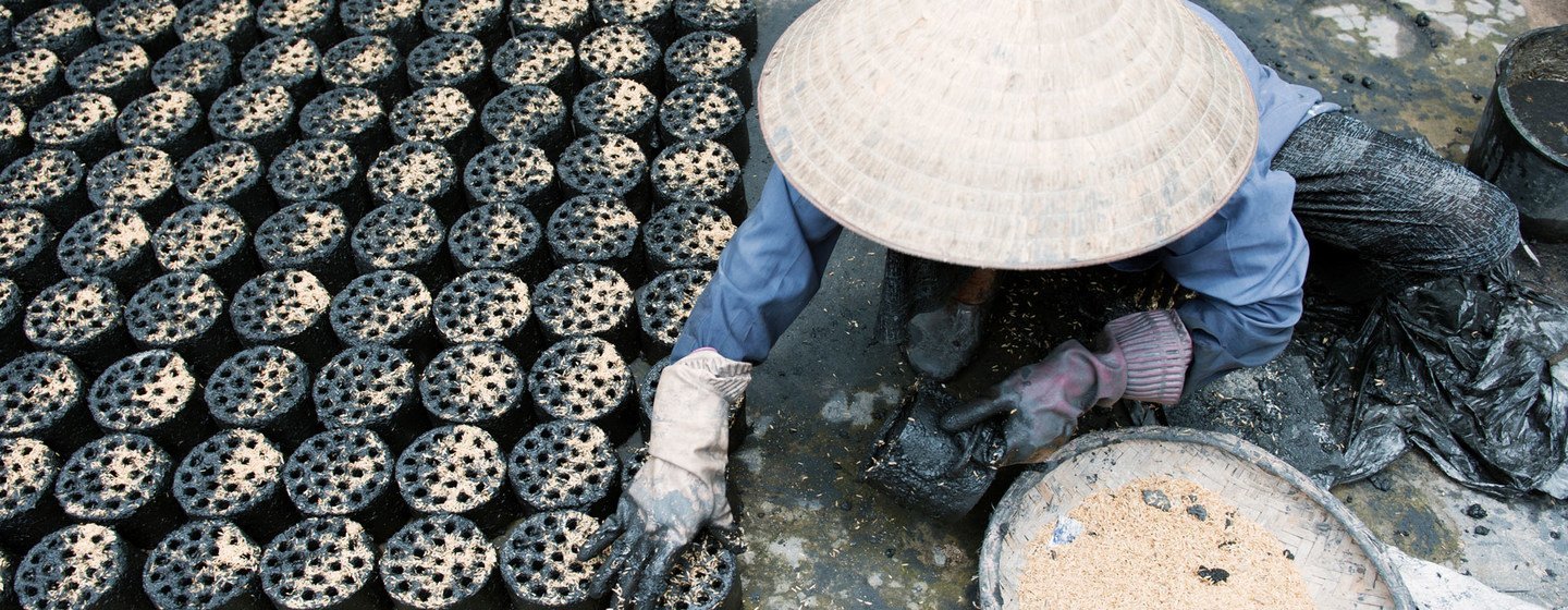 A woman  in Viet Nam makes environmentally-friendly biomass briquettes, a biofuel substitute to coal and charcoal cooking fuel.