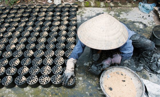 A woman  in Viet Nam makes environmentally-friendly biomass briquettes, a biofuel substitute to coal and charcoal cooking fuel.