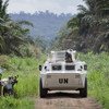 Des habitants de la région de Beni en RDC saluent le passage de soldats de la paix dans un véhicule blindé de transport de troupes de la MONUSCO. 