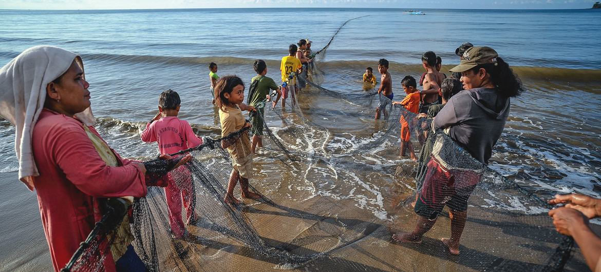 Des voisins s'entraident pour tirer un filet de pêche à Gentuma Raya, en Indonésie.