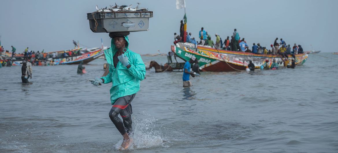 Pelabuhan perikanan Joal di Senegal.
