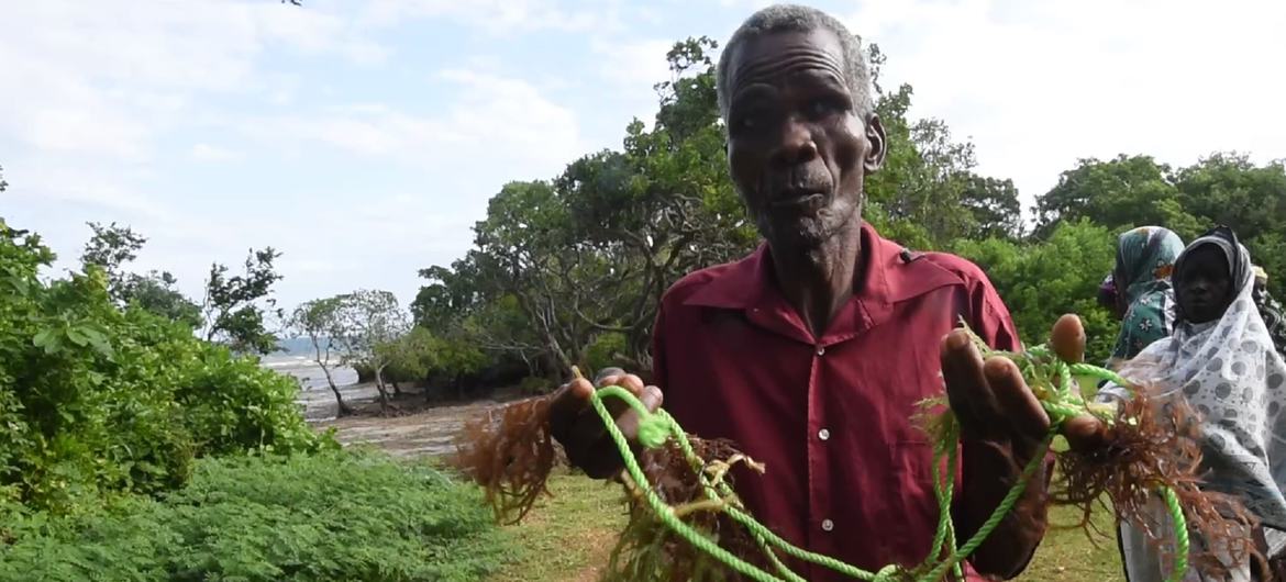 Amiri Juma Amiri holding seaweed harvested from his farm in Kibuyuni village, Kwale county, Kenya, thanks to support from Kenya Marine and Fisheries Institute.