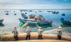 Local fishermen haul in their catch of sardines on the coast of Nui Chua National Park in Viet Nam.