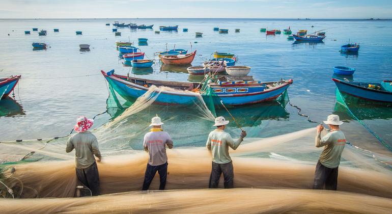 Unos pescadores recogen sus capturas de sardinas en la costa del Parque Nacional de Nui Chua, en Vietnam.