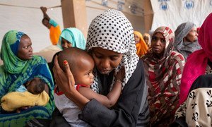 尼日尔阿加德兹的寻求庇护者和难民。